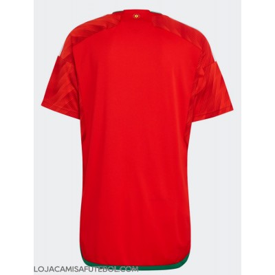 Camisa de Futebol País de Gales Equipamento Principal Mundo 2022 Manga Curta